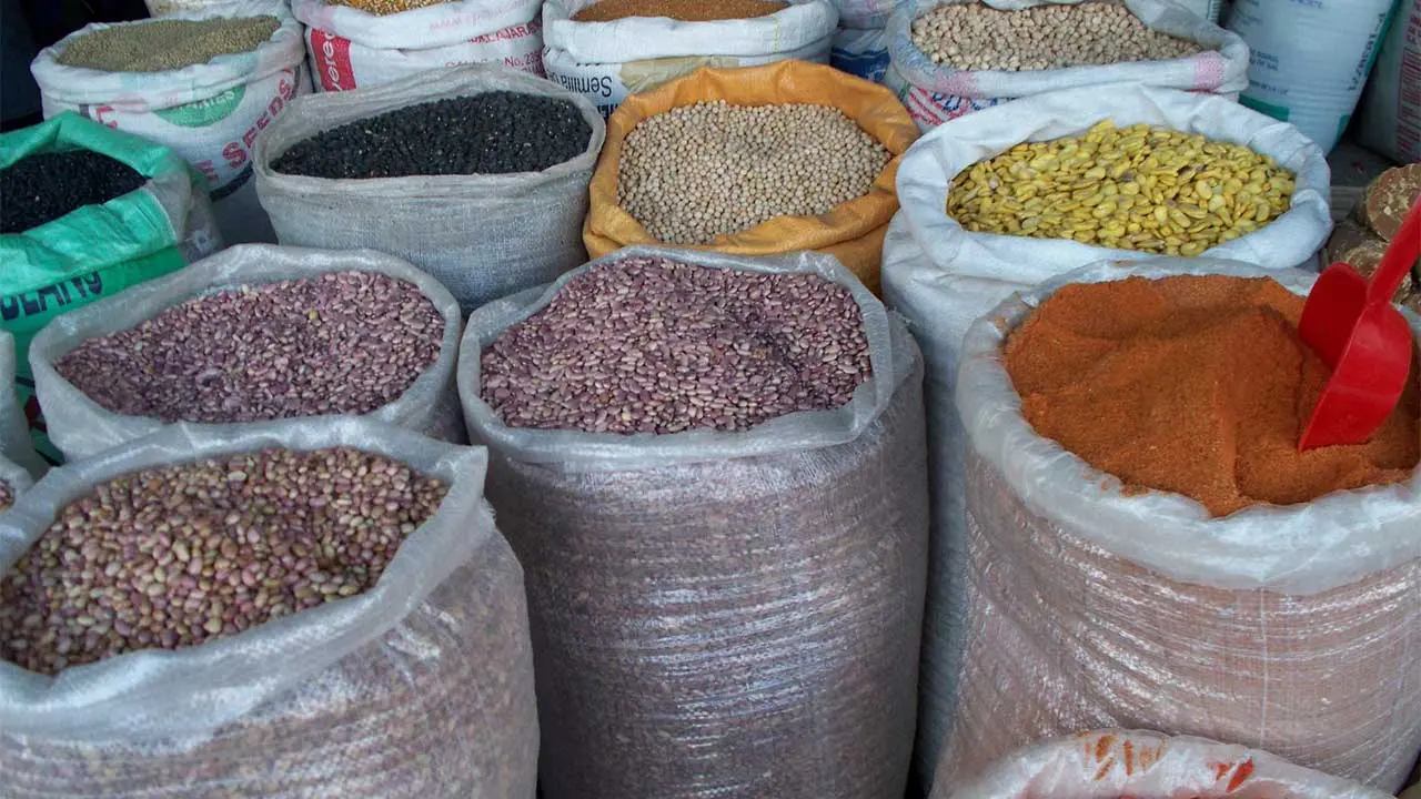 Hardship: Tinubu explains why distribution of free grains is delayed